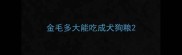 金毛多大能吃成犬狗粮