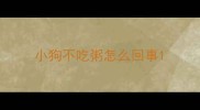 小狗不吃粥怎么回事