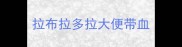 拉布拉多拉大便带血