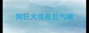 狗狂犬疫苗后气喘