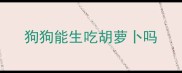 狗狗能生吃胡萝卜吗