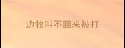 边牧叫不回来被打