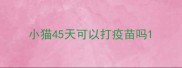 小猫45天可以打疫苗吗