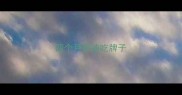 四个月泰迪吃牌子
