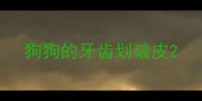 狗狗的牙齿划破皮