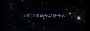 拉布拉多幼犬忌持什么