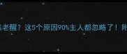 拉布拉多突然老醒这5个原因90主人都忽略了附紧急处理指南
