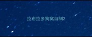 拉布拉多狗窝自制