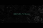 狗狗可以自己在家几天
