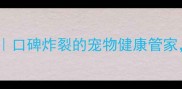 上海佩兹宠物医院口碑炸裂的宠物健康管家守护毛孩每一程