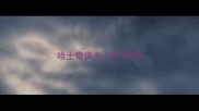 哈士奇换主人后不吃