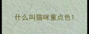 什么叫猫咪重点色