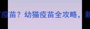 猫咪最晚几月打疫苗幼猫疫苗全攻略新手养猫必看