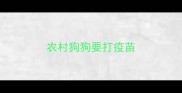 农村狗狗要打疫苗