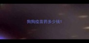 狗狗疫苗药多少钱