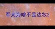 军犬为啥不是边牧