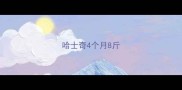 哈士奇4个月8斤