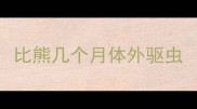 比熊几个月体外驱虫