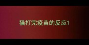 猫打完疫苗的反应