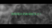 狗狗喝羊奶粉喝到多大
