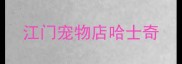 江门宠物店哈士奇
