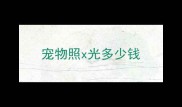 宠物照x光多少钱