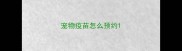 宠物疫苗怎么预约