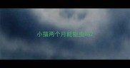 小猫两个月能驱虫吗