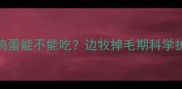边牧掉毛严重怎么办鸡蛋能不能吃边牧掉毛期科学护理指南附营养方案