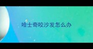 哈士奇咬沙发怎么办