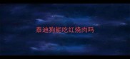 泰迪狗能吃红烧肉吗
