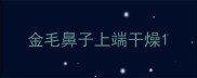 金毛鼻子上端干燥