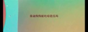 泰迪狗狗能吃哈密瓜吗
