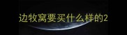 边牧窝要买什么样的