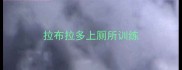 拉布拉多上厕所训练