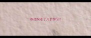 泰迪狗老了几岁掉牙