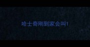 哈士奇刚到家会叫
