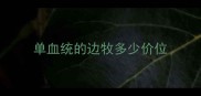 单血统的边牧多少价位