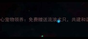 绵阳爱心宠物领养免费赠送流浪犬只共建和谐社区