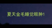 夏天金毛睡觉眼肿