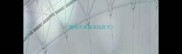 猫咪洗澡着凉拉肚子