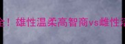 边境牧羊犬公母区别全雄性温柔高智商vs雌性活泼敏感养前必看指南