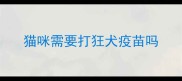 猫咪需要打狂犬疫苗吗