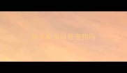 乘火车可以带宠物吗
