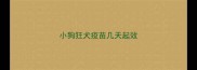 小狗狂犬疫苗几天起效