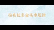 拉布拉多金毛串规律