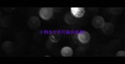 小狗多少天打脑炎疫苗