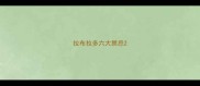 拉布拉多六大禁忌