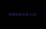 狗狗缺氧急救方法