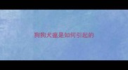狗狗犬瘟是如何引起的